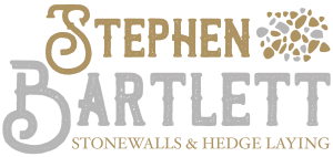 Stephen-Bartlett-Stonewall-and-hedge-laying-weymouth-dorchester-Dorset
