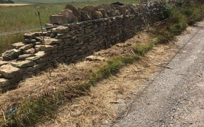 Drystone-walling-repair-builders-company-Weymouth-Dorchester-Dorset